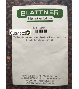 Bacche di biancospino/Weißdornbeeren-Blattner semi e miscele