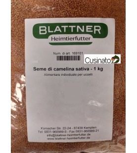 Camelina Sativa -Blattner semi e miscele