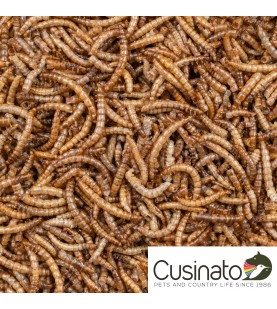 Deli Nature Mealworms / Tarme della farina essiccate