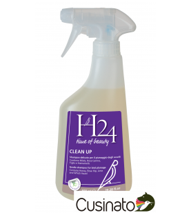 H24 Clean Up