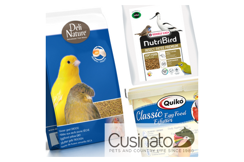 Pastoncini e Patè per Uccelli (Granivori, Insettivori, Frugivori…) Ornitologia a casa tua |Cusinato