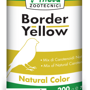Pineta Border yellow - coloranti