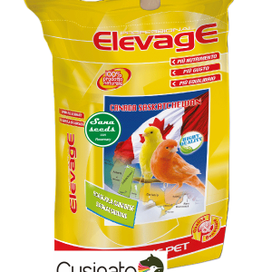 Elevage SCAGLIOLA SASKA canadese buffalo 20 Kg
