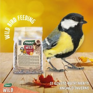 Pinny WILD 4 season
