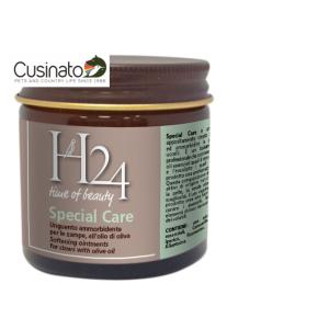 H24 Special Care
