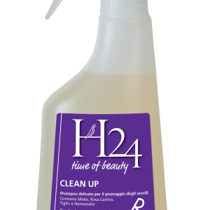 H24 Clean Up