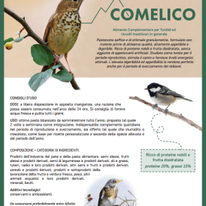 Cusinato Comelico-pastoncino per turdidi ed insettivori