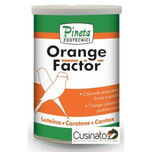 Pineta Orange Factor - coloranti