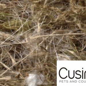 Sisal Fibre/ Cocco-sisal-juta-cotone-muschio