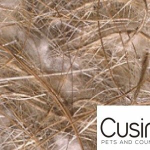 Sisal Fibre/ Cocco-sisal-juta-cotone