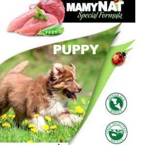 Mamynat dog - Puppy