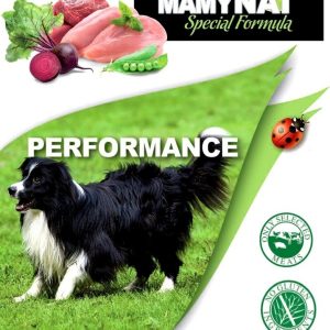 Mamynat dog - Performance
