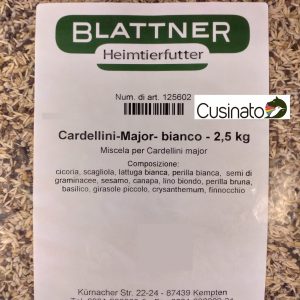 Blattner Cardellini Major Bianco