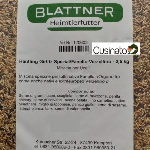 Blattner Fanello Verzellino/Hänfling Girlitz