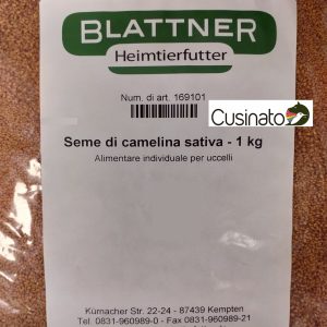 Blattner Camelina Sativa