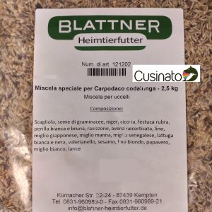 Blattner Speciale Carpodaco codalunga