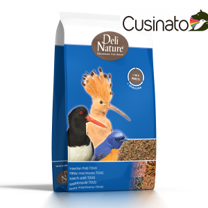 Deli Nature Insect Patè TOVO-Patè di Insetti