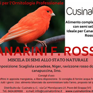 Cusinato miscela per CANARINI a fattore rosso