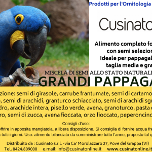 Cusinato mix PAPPAGALLI BIG