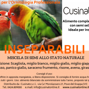 Cusinato mix INSEPARABILI e PARROCCHETTI