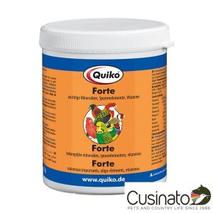 Quiko Forte