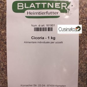 Blattner Cicoria / Zichoriensamen