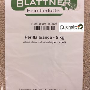 Blattner Perilla bianca / Perilla hell
