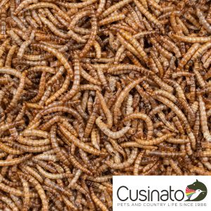 Deli Nature Mealworms / Tarme della farina essiccate