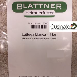 Blattner Lattuga Bianca