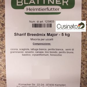 Blattner Sharif Breedmix Major