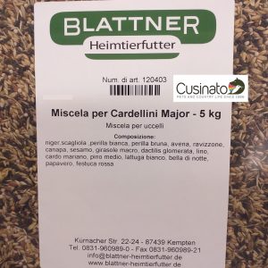 Blattner Cardellini Major