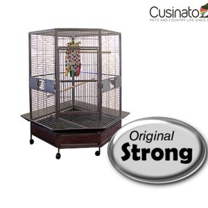 Original Strong - Villa Dahlia