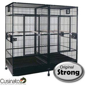 Original Strong - Amalia
