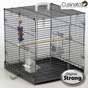 Original Strong - Traveller