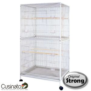 Original Strong - Aviary Zara