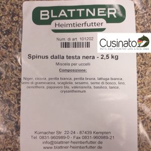 Blattner Spinus dalla Testa Nera