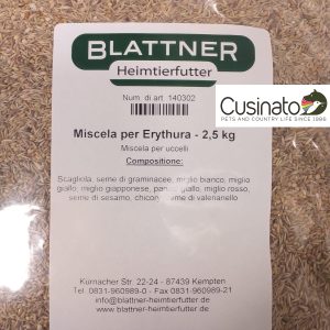 Blattner Erythura