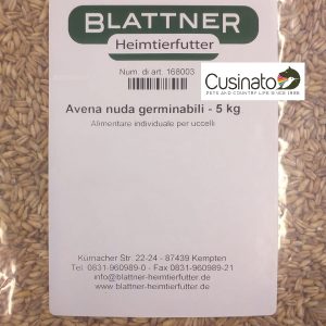 Blattner Avena decorticata Germinabile