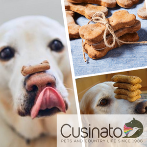 Biscotti