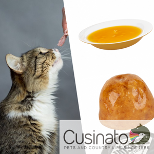 Drink - Patè - Mousse