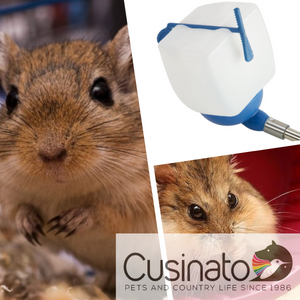 Accessori - Lettiere - Fondi