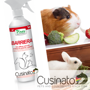 Integratori - Igiene - Curativi