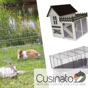 Gabbie - Recinti - Conigliere