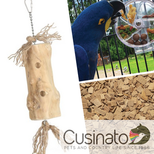 Fondi - Giochi - Accessori