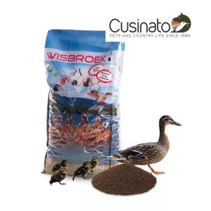 Wisbroek Micro 22