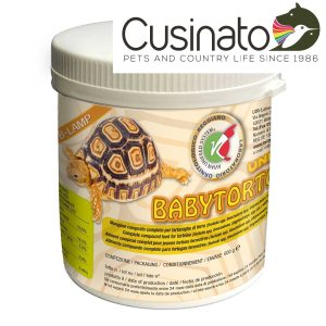 L.O.R. Unifeed Baby Tortoise