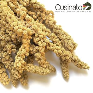 Cusinato Spighe di Panico