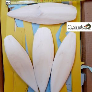 Cusinato Ossi Di Seppia 15-20cm (6-8 inch)