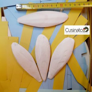 Cusinato Ossi Di Seppia 10-12cm (4-5 inch)