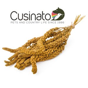 Cusinato Spighe di Panico Giallo FRANCESE - Scatola 10 Kg